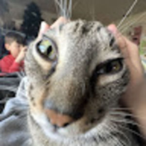 Meet your Posher, Dani